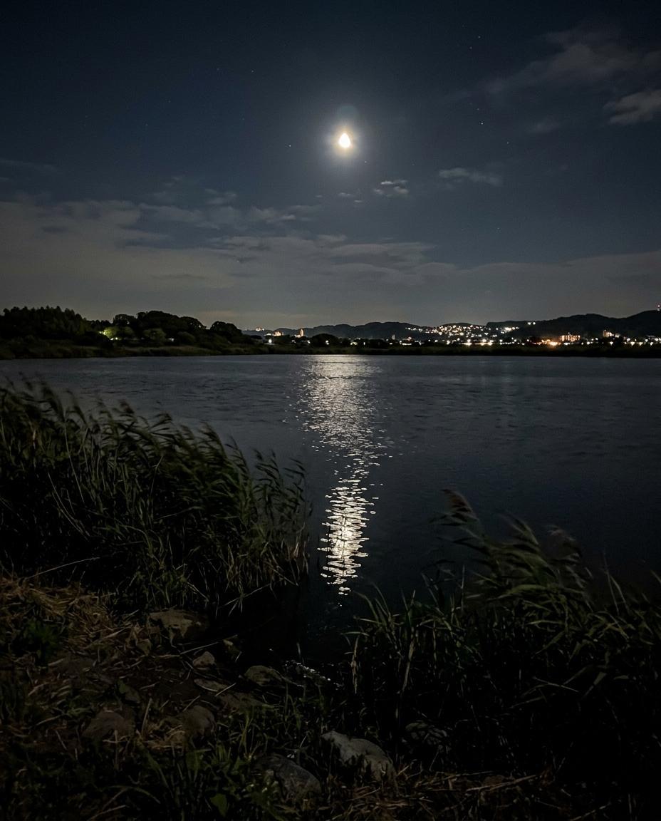 月夜の印旛沼。静かな水面に月の光が映っている